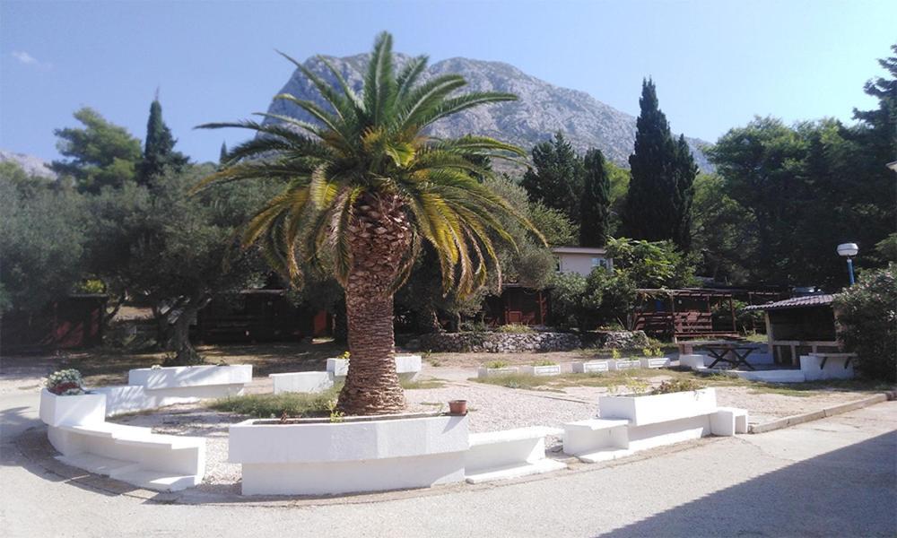 Resort Dalmacija Zaostrog Εξωτερικό φωτογραφία