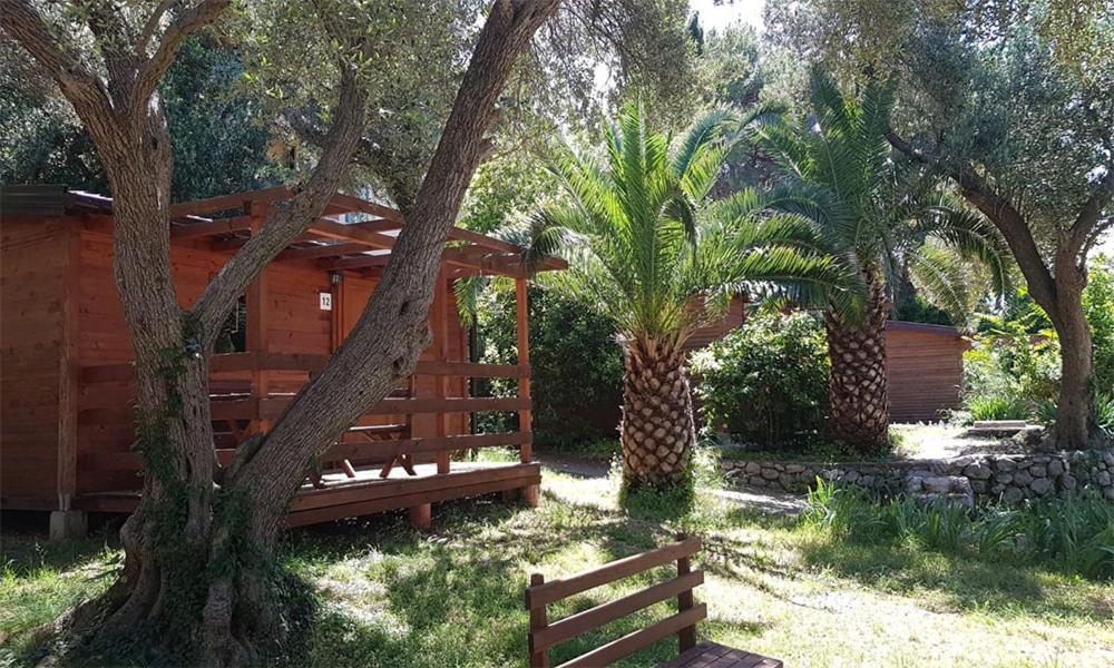 Resort Dalmacija Zaostrog Εξωτερικό φωτογραφία